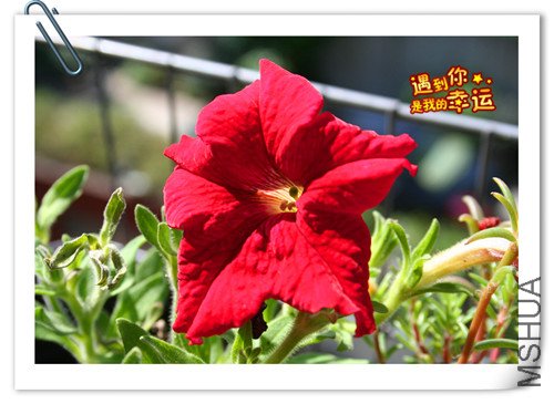 ��Ƭ 069_����.jpg