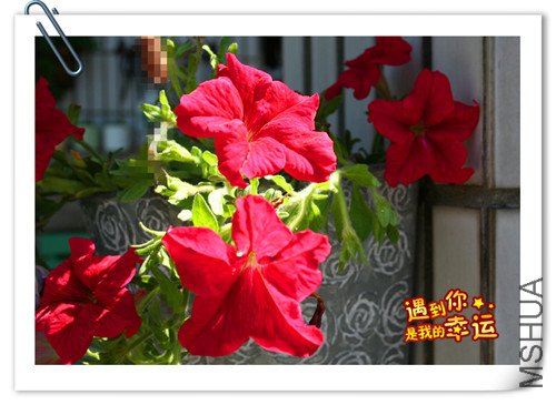 ��Ƭ 134_����.jpg