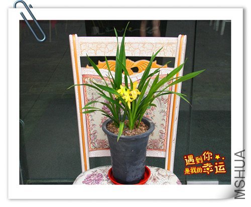 ��Ƭ 057_����.jpg