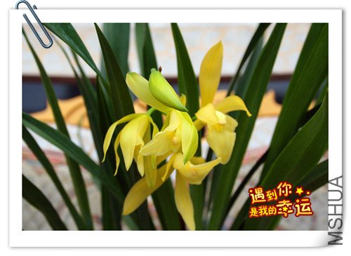 ��Ƭ 059_����.jpg