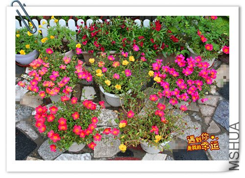 ��Ƭ 006_����_����.jpg