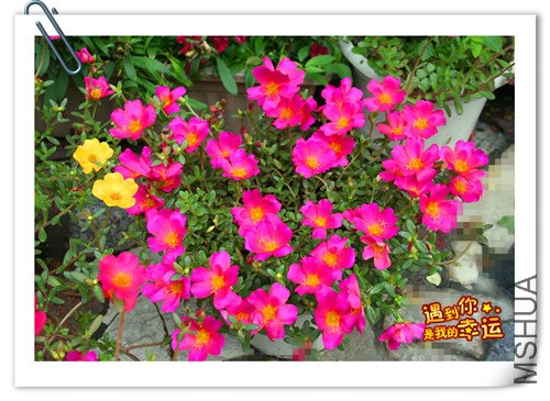 ��Ƭ 007_����2.jpg