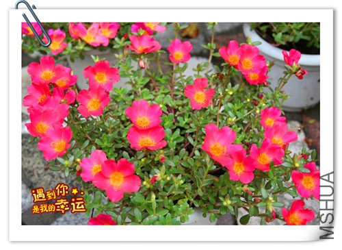 ��Ƭ 008_����1.jpg