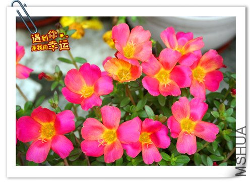 ��Ƭ 011_����2.jpg