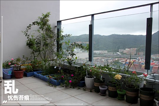 IMG_8748.JPG