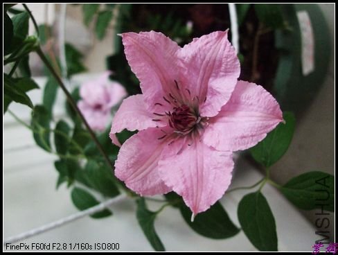 DSCF2399.jpg
