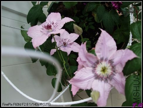 DSCF2460.jpg