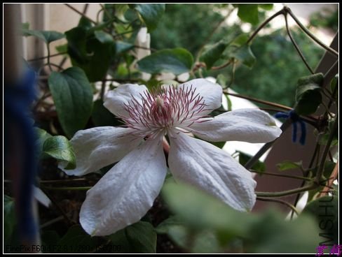 DSCF2473.jpg