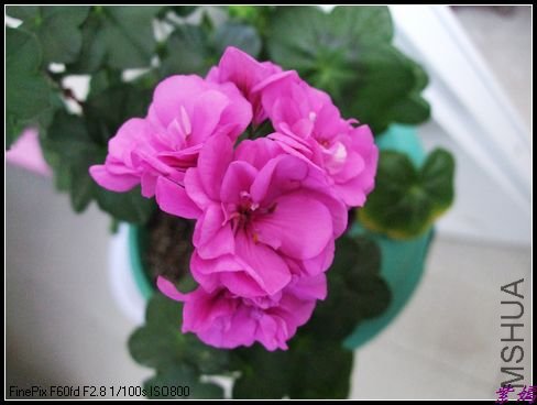 DSCF2464.jpg