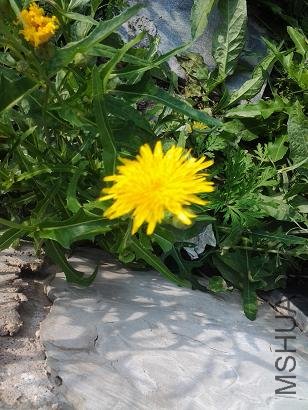 2012-08-12 15.51.35.JPG