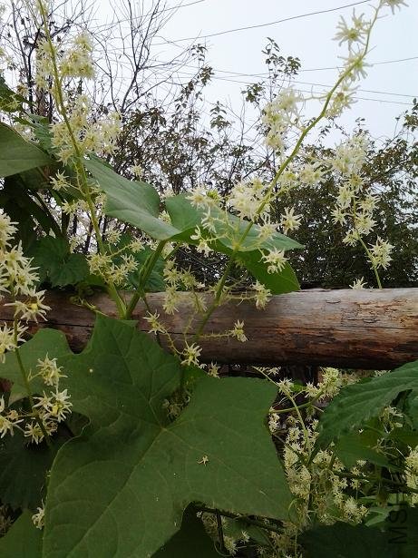 2012-08-15 06.50.17.JPG