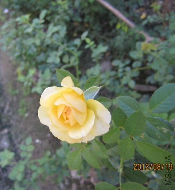 �ļ����Ļ��β���