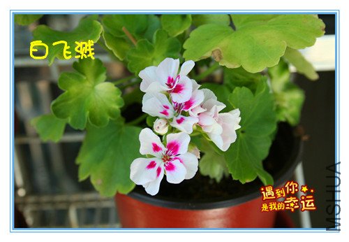 ��Ƭ 013_����.jpg