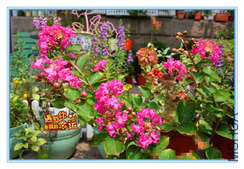 ��Ƭ 009_����.jpg