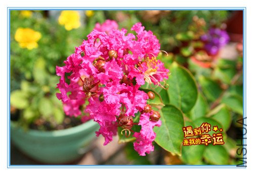 ��Ƭ 012_����.jpg