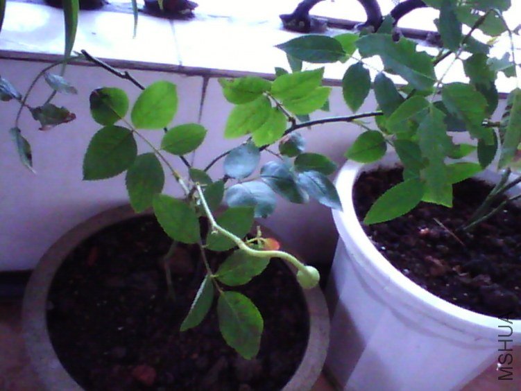 image20120820_130627.jpg