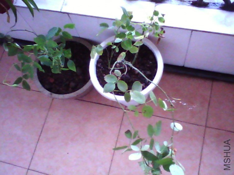 image20120820_130555.jpg