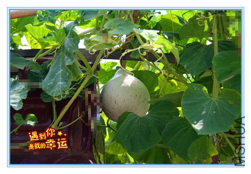 ��Ƭ 039_����.jpg