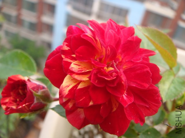 DSC04808.JPG