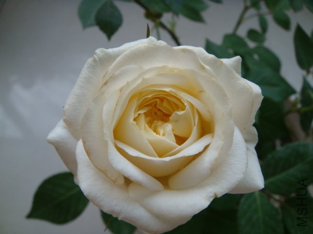 DSC03312.JPG