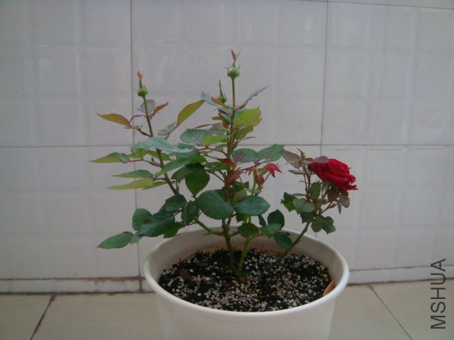 DSC03063.JPG