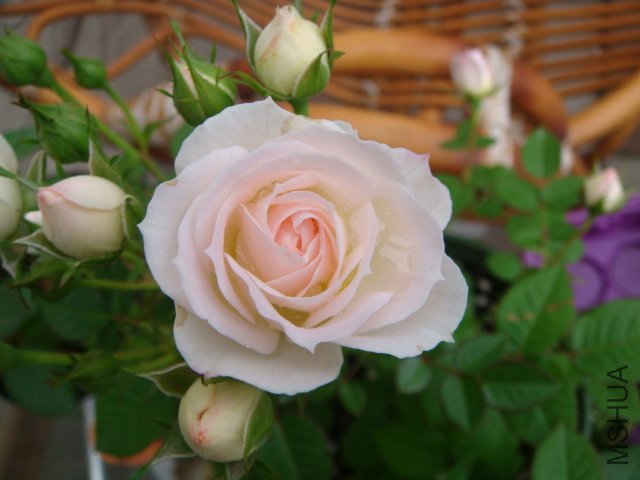 DSC03166.JPG