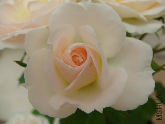DSC03593.JPG