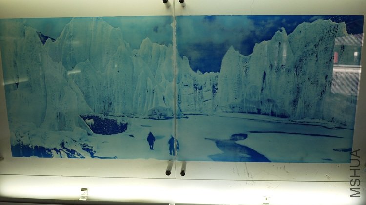 20*24�ĵ�Ƭ��ϴ��˵�ɱ�����