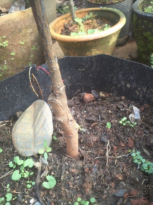 ����߿��ӵ�