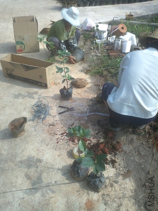 ֦��̫���õ��ӻ�ֽ�и�װ