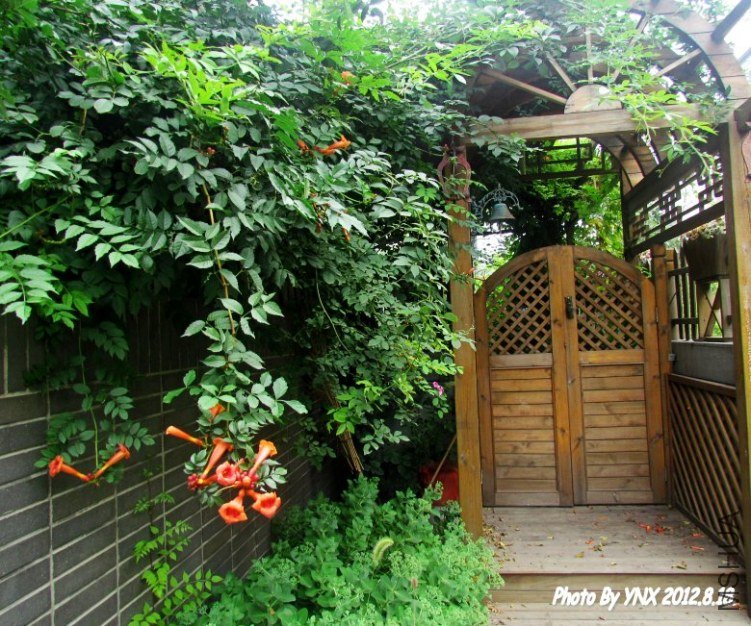 2012.8.18. 108_conew1.jpg