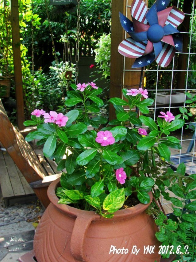 2012.8.7. 017_conew1.jpg