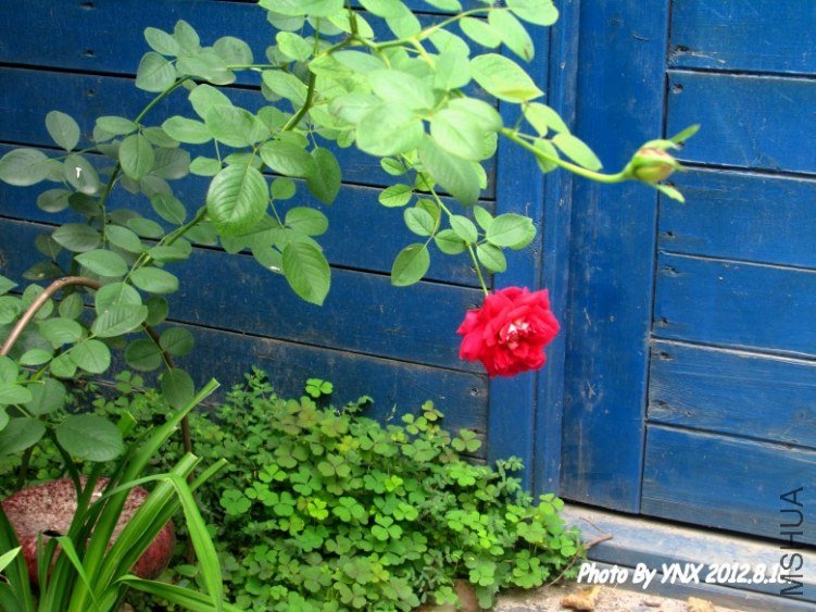 2012.8.18. 053_conew1.jpg