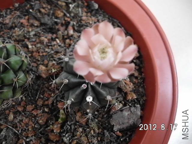 �տ���ʱ��