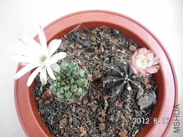 �տ���ʱ��