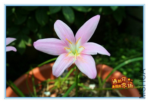 ��Ƭ 001_����1.jpg