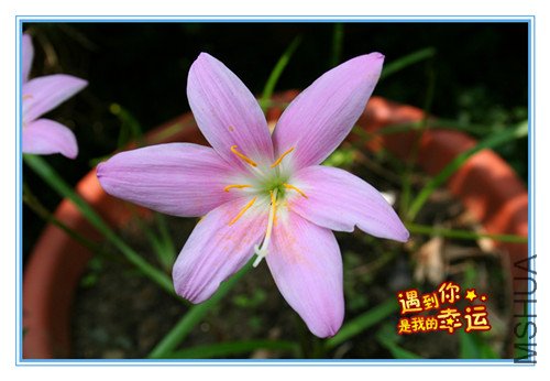 ��Ƭ 004_����.jpg