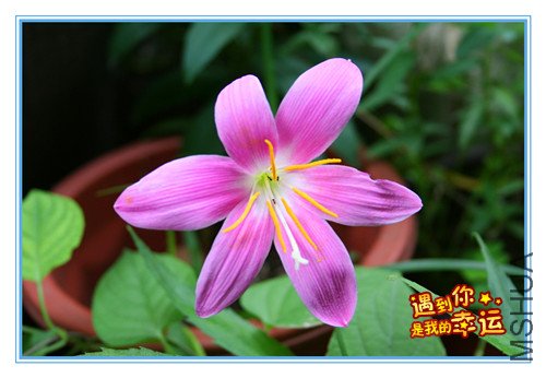 ��Ƭ 058_����.jpg