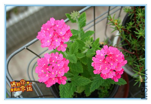 ��Ƭ 041_����.jpg