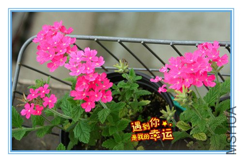 ��Ƭ 042_��ת_����.jpg