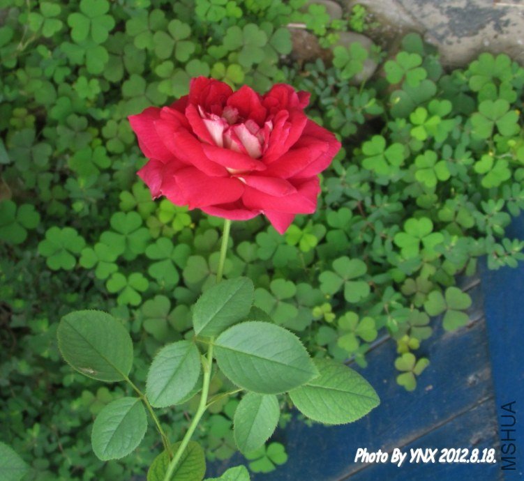 2012.8.18. 056_conew1.jpg