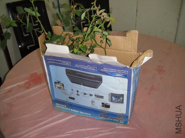 DSC02292.JPG