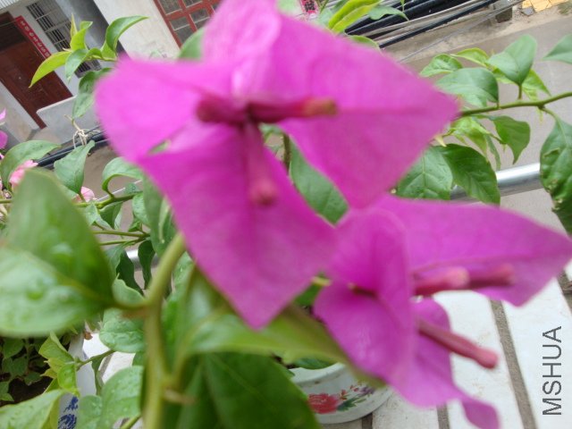DSC04187.JPG