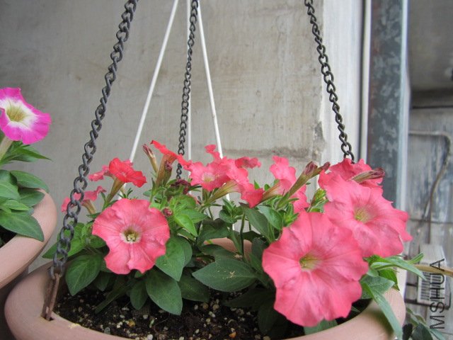 �ٺ�.jpg