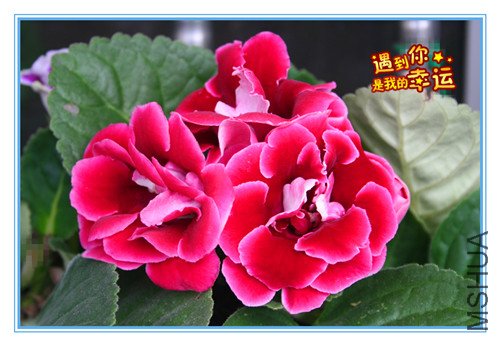 ��Ƭ 003_����1.jpg