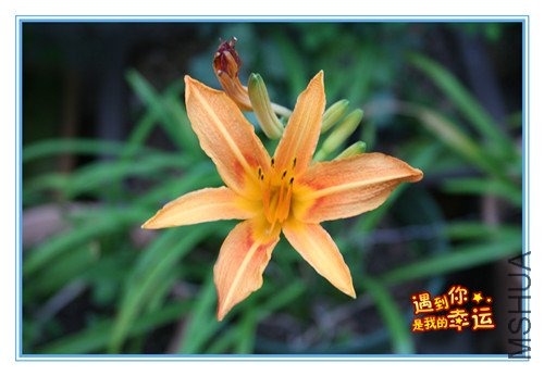 ��Ƭ 012_����.jpg