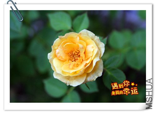 ��Ƭ 041_����.jpg