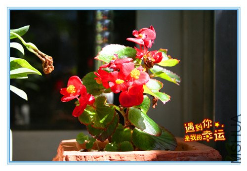 ��Ƭ 105_����.jpg