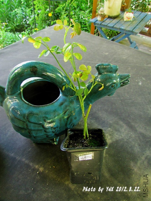 2012.8.22. 012_���Ů��.jpg