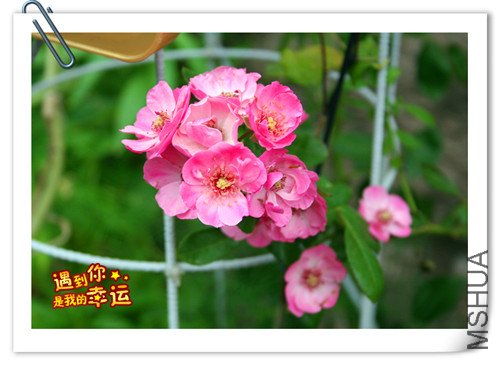 ��Ƭ 026_����.jpg